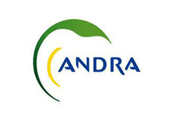 andra